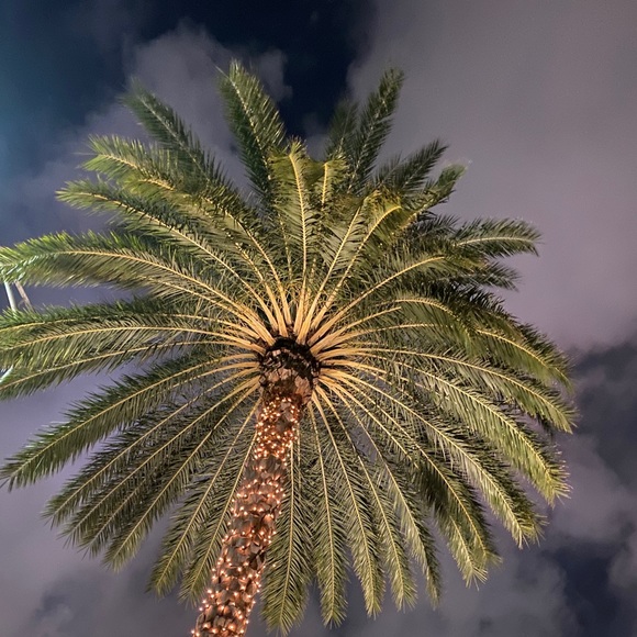 Meet your Posher, Tamara - Picture 2 of 3